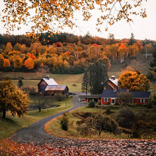 میثم شیخی یار بمو مره داغون هاکرده ای